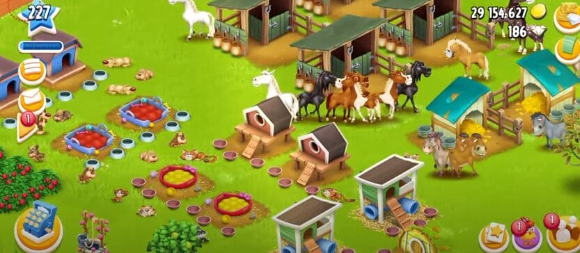 Feed Your Pets