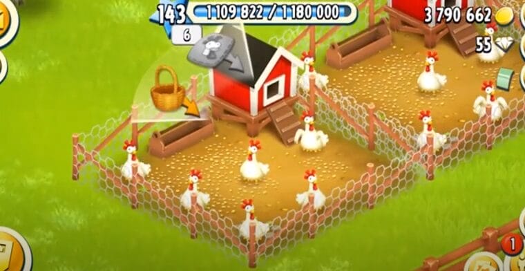 Feeding Your Farm Animals