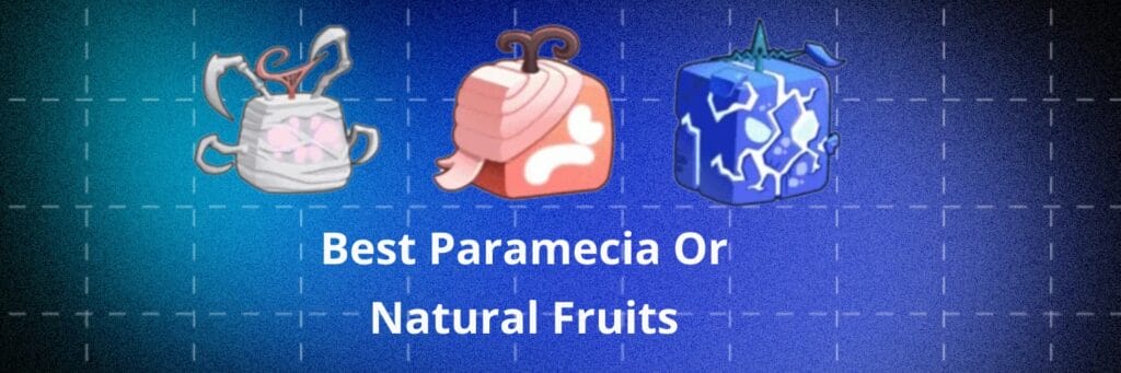 Best Paramecia or Natural Fruits